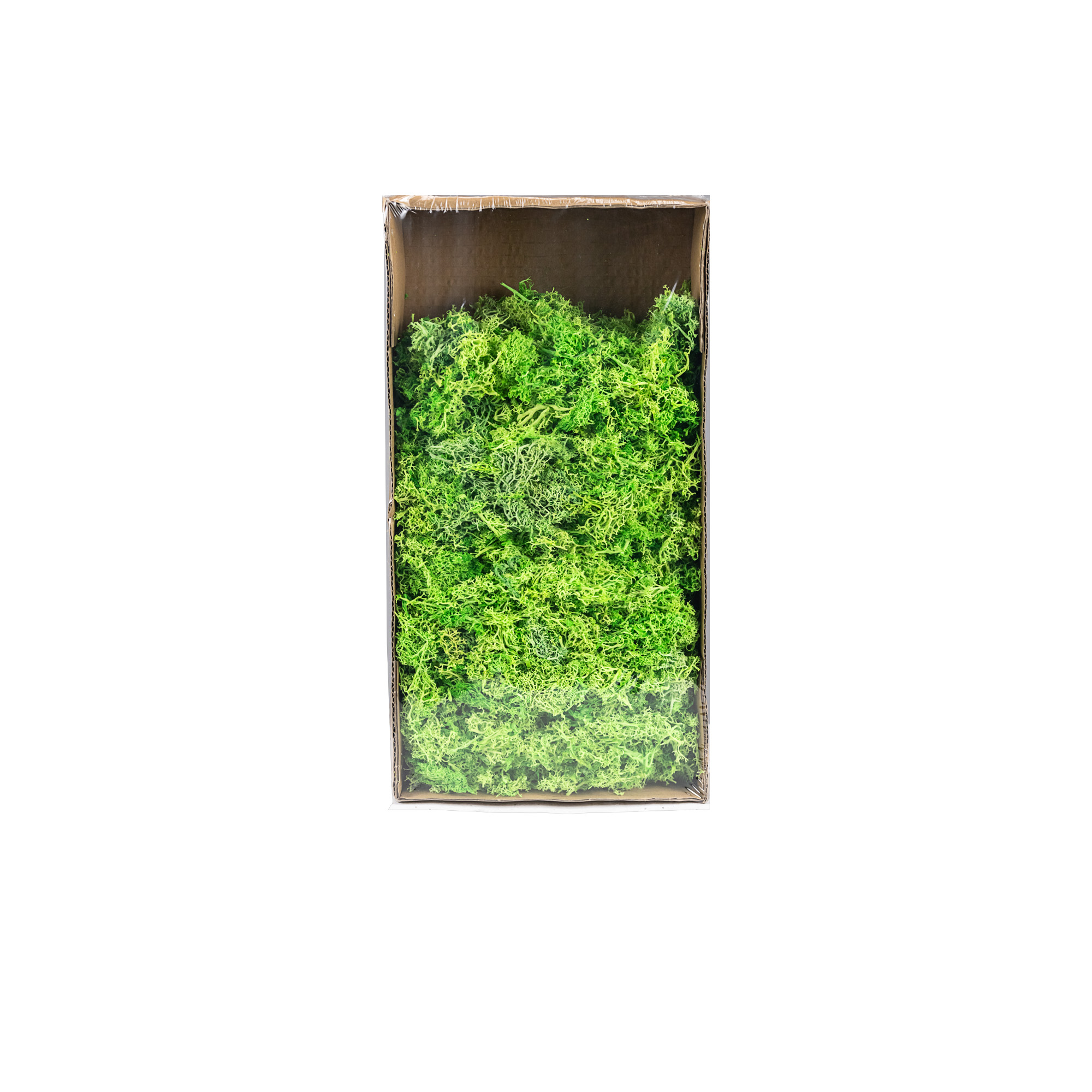 Preserved moss,500g, Light Green